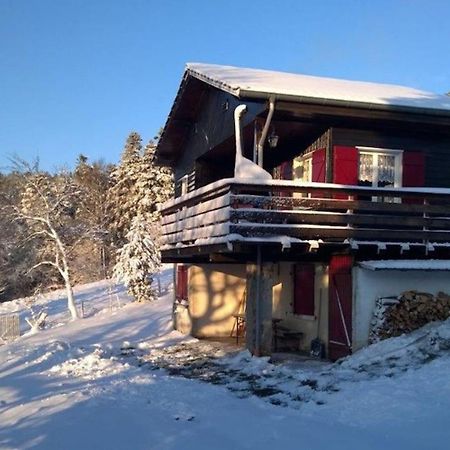 Le Chalet De Rothenbuhl Dabo ภายนอก รูปภาพ