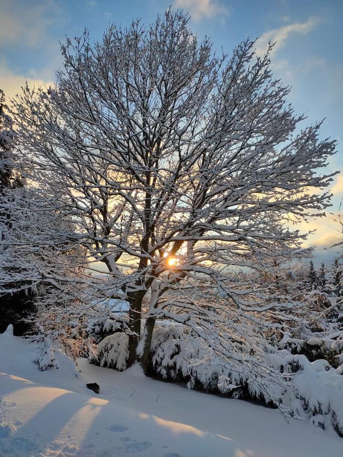 Le Chalet De Rothenbuhl Dabo ภายนอก รูปภาพ