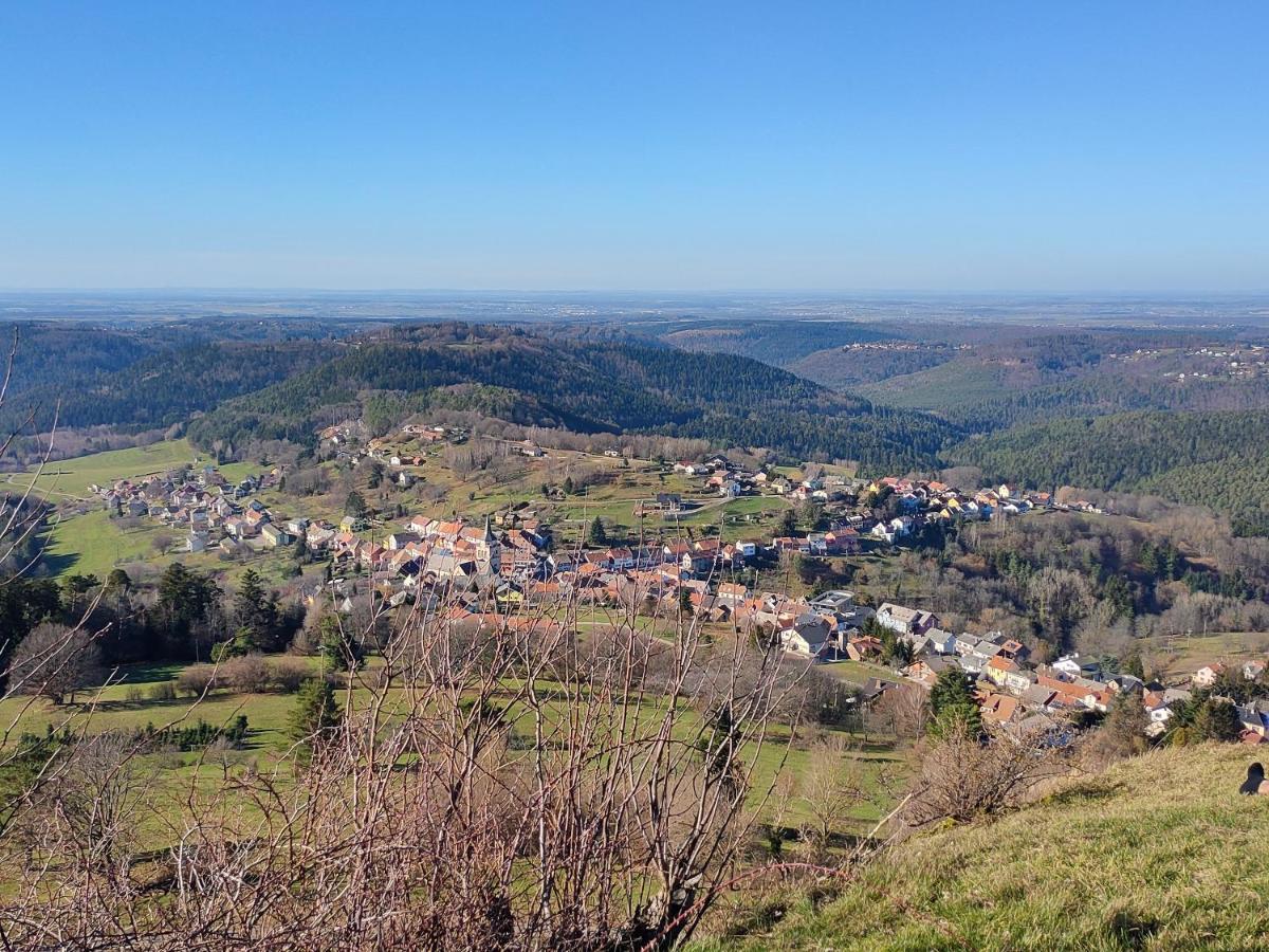 Le Chalet De Rothenbuhl Dabo ภายนอก รูปภาพ