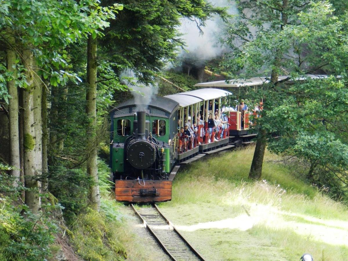 Le Chalet De Rothenbuhl Dabo ภายนอก รูปภาพ